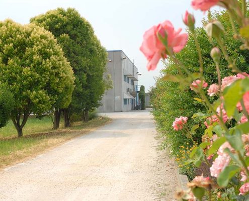 foto-azienda-herbo